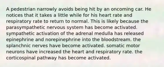 A pedestrian narrowly avoids being hit by an oncoming car. He notices that it takes a little while for his heart rate and respiratory rate to return to normal. This is likely because the parasympathetic <a href='https://www.questionai.com/knowledge/kThdVqrsqy-nervous-system' class='anchor-knowledge'>nervous system</a> has become activated. sympathetic activation of the adrenal medulla has released epinephrine and norepinephrine into <a href='https://www.questionai.com/knowledge/k7oXMfj7lk-the-blood' class='anchor-knowledge'>the blood</a>stream. the splanchnic nerves have become activated. somatic motor neurons have increased <a href='https://www.questionai.com/knowledge/kya8ocqc6o-the-heart' class='anchor-knowledge'>the heart</a> and respiratory rate. the corticospinal pathway has become activated.