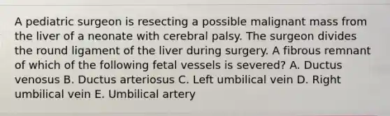 A pediatric surgeon is resecting a possible malignant mass from the liver of a neonate with cerebral palsy. The surgeon divides the round ligament of the liver during surgery. A fibrous remnant of which of the following fetal vessels is severed? A. Ductus venosus B. Ductus arteriosus C. Left umbilical vein D. Right umbilical vein E. Umbilical artery