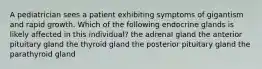 A pediatrician sees a patient exhibiting symptoms of gigantism and rapid growth. Which of the following endocrine glands is likely affected in this individual? the adrenal gland the anterior pituitary gland the thyroid gland the posterior pituitary gland the parathyroid gland