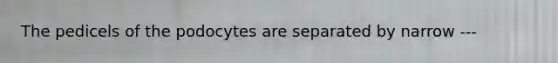 The pedicels of the podocytes are separated by narrow ---