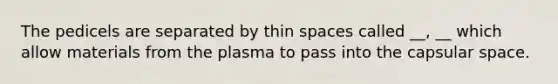 The pedicels are separated by thin spaces called __, __ which allow materials from the plasma to pass into the capsular space.