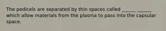 The pedicels are separated by thin spaces called ______ ______ which allow materials from the plasma to pass into the capsular space.