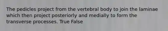 The pedicles project from the vertebral body to join the laminae which then project posteriorly and medially to form the transverse processes. True False