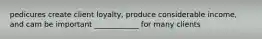 pedicures create client loyalty, produce considerable income, and cam be important ____________ for many clients
