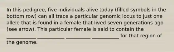 In this pedigree, five individuals alive today (filled symbols in the bottom row) can all trace a particular genomic locus to just one allele that is found in a female that lived seven generations ago (see arrow). This particular female is said to contain the ____________ ___________ __________ ___________ for that region of the genome.