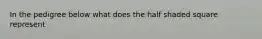 In the pedigree below what does the half shaded square represent
