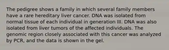 The pedigree shows a family in which several family members have a rare hereditary liver cancer. DNA was isolated from normal tissue of each individual in generation III. DNA was also isolated from liver tumors of the affected individuals. The genomic region closely associated with this cancer was analyzed by PCR, and the data is shown in the gel.