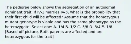 The pedigree below shows the segregation of an autosomal dominant trait. If IV-1 marries IV-5, what is the probability that their first child will be affected? Assume that the homozygous mutant genotype is viable and has the same phenotype as the heterozygote. Select one: A. 1/4 B. 1/2 C. 3/8 D. 3/4 E. 1/8 [Based off picture. Both parents are affected and are heterozygous for the trait]