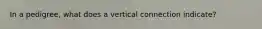 In a pedigree, what does a vertical connection indicate?