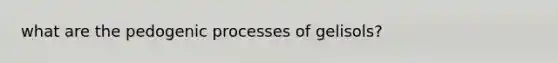 what are the pedogenic processes of gelisols?