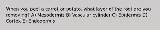 When you peel a carrot or potato, what layer of the root are you removing? A) Mesodermis B) Vascular cylinder C) Epidermis D) Cortex E) Endodermis