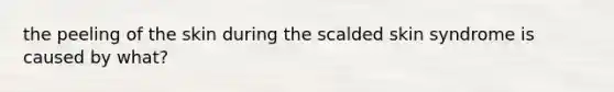 the peeling of the skin during the scalded skin syndrome is caused by what?