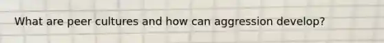 What are peer cultures and how can aggression develop?