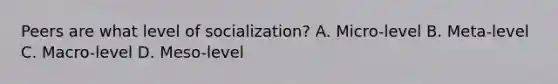 Peers are what level of socialization? A. Micro-level B. Meta-level C. Macro-level D. Meso-level