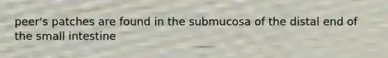 peer's patches are found in the submucosa of the distal end of the small intestine