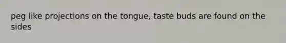 peg like projections on the tongue, taste buds are found on the sides