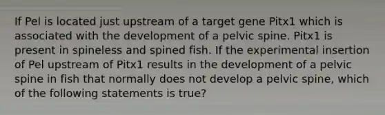 If Pel is located just upstream of a target gene Pitx1 which is associated with the development of a pelvic spine. Pitx1 is present in spineless and spined fish. If the experimental insertion of Pel upstream of Pitx1 results in the development of a pelvic spine in fish that normally does not develop a pelvic spine, which of the following statements is true?