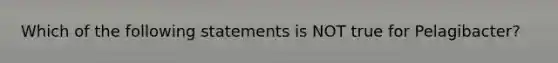 Which of the following statements is NOT true for Pelagibacter?