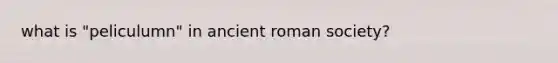 what is "peliculumn" in ancient roman society?