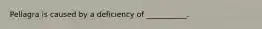Pellagra is caused by a deficiency of ___________.