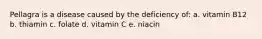 Pellagra is a disease caused by the deficiency of: a. vitamin B12 b. thiamin c. folate d. vitamin C e. niacin
