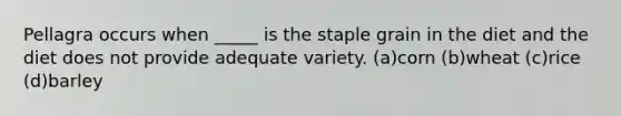 Pellagra occurs when _____ is the staple grain in the diet and the diet does not provide adequate variety. (a)corn (b)wheat (c)rice (d)barley
