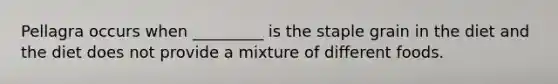 Pellagra occurs when _________ is the staple grain in the diet and the diet does not provide a mixture of different foods.