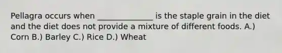 Pellagra occurs when ______________ is the staple grain in the diet and the diet does not provide a mixture of different foods. A.) Corn B.) Barley C.) Rice D.) Wheat