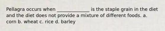 Pellagra occurs when ______________ is the staple grain in the diet and the diet does not provide a mixture of different foods. a. corn b. wheat c. rice d. barley