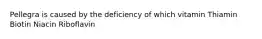 Pellegra is caused by the deficiency of which vitamin Thiamin Biotin Niacin Riboflavin