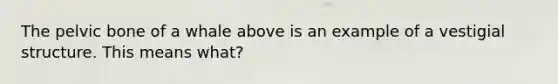 The pelvic bone of a whale above is an example of a vestigial structure. This means what?