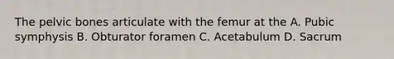 The pelvic bones articulate with the femur at the A. Pubic symphysis B. Obturator foramen C. Acetabulum D. Sacrum