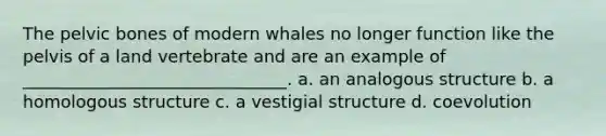 The pelvic bones of modern whales no longer function like the pelvis of a land vertebrate and are an example of _______________________________. a. an analogous structure b. a homologous structure c. a vestigial structure d. coevolution