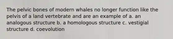 The pelvic bones of modern whales no longer function like the pelvis of a land vertebrate and are an example of a. an analogous structure b. a homologous structure c. vestigial structure d. coevolution