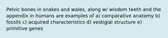 Pelvic bones in snakes and wales, along w/ wisdom teeth and the appendix in humans are examples of a) comparative anatomy b) fossils c) acquired characteristics d) vestigial structure e) primitive genes