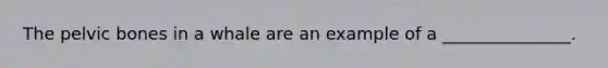 The pelvic bones in a whale are an example of a _______________.