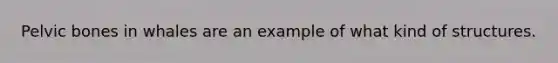Pelvic bones in whales are an example of what kind of structures.