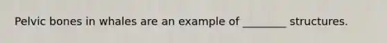 Pelvic bones in whales are an example of ________ structures.