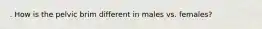 . How is the pelvic brim different in males vs. females?
