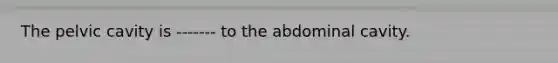 The pelvic cavity is ------- to the abdominal cavity.