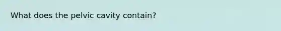 What does the pelvic cavity contain?