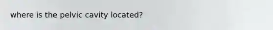 where is the pelvic cavity located?