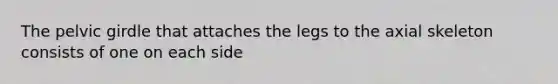 The pelvic girdle that attaches the legs to the axial skeleton consists of one on each side