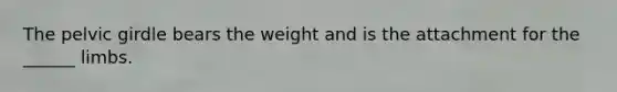 The pelvic girdle bears the weight and is the attachment for the ______ limbs.