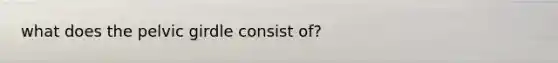 what does the pelvic girdle consist of?