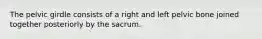 The pelvic girdle consists of a right and left pelvic bone joined together posteriorly by the sacrum.