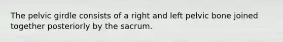 The pelvic girdle consists of a right and left pelvic bone joined together posteriorly by the sacrum.