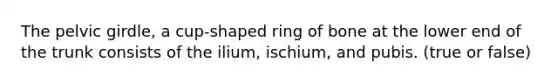 The pelvic girdle, a cup-shaped ring of bone at the lower end of the trunk consists of the ilium, ischium, and pubis. (true or false)