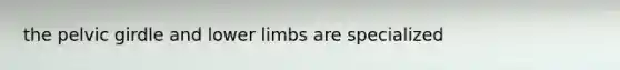 the pelvic girdle and lower limbs are specialized