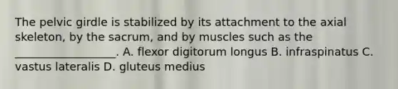 The <a href='https://www.questionai.com/knowledge/k9xWFjlOIm-pelvic-girdle' class='anchor-knowledge'>pelvic girdle</a> is stabilized by its attachment to the axial skeleton, by the sacrum, and by muscles such as the __________________. A. flexor digitorum longus B. infraspinatus C. vastus lateralis D. gluteus medius